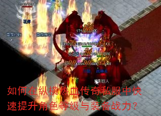 如何在纵横热血传奇私服中快速提升角色等级与装备战力? 如何在纵横热血传奇私服中快速提升角色等级与装备战力?