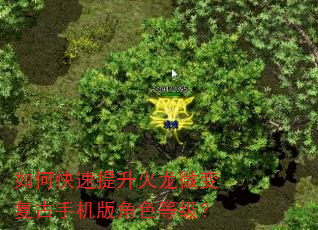 如何快速提升火龙微变复古手机版角色等级? 如何快速提升火龙微变复古手机版角色等级?