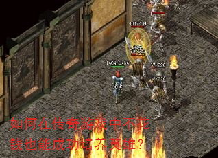 如何在传奇游戏中不花钱也能成功培养英雄? 如何在传奇游戏中不花钱也能成功培养英雄?