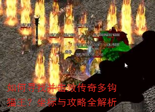 ���Ѱ�Ҳ����ܴ���๳è���������빥��ȫ����