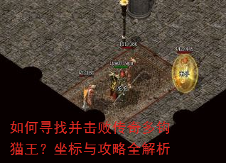 ���Ѱ�Ҳ����ܴ���๳è���������빥��ȫ����