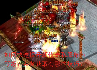 如何快速提升新传奇私服角色等级?装备获取有哪些技巧? 如何快速提升新传奇私服角色等级?装备获取有哪些技巧?