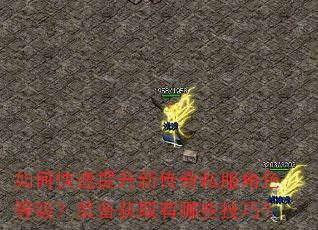 如何快速提升新传奇私服角色等级?装备获取有哪些技巧? 如何快速提升新传奇私服角色等级?装备获取有哪些技巧?