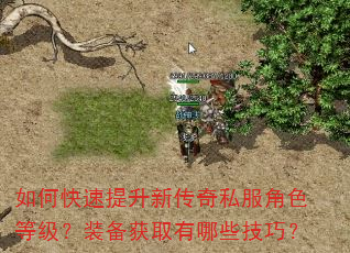 如何快速提升新传奇私服角色等级?装备获取有哪些技巧? 如何快速提升新传奇私服角色等级?装备获取有哪些技巧?