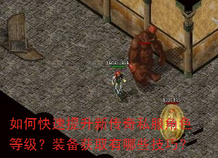 如何快速提升新传奇私服角色等级?装备获取有哪些技巧? 如何快速提升新传奇私服角色等级?装备获取有哪些技巧?