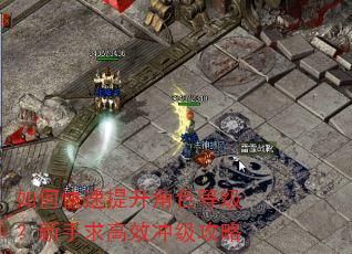 如何快速提升角色等级?新手求高效冲级攻略 如何快速提升角色等级?新手求高效冲级攻略
