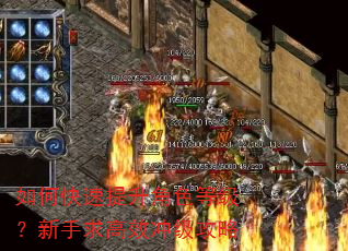 如何快速提升角色等级?新手求高效冲级攻略 如何快速提升角色等级?新手求高效冲级攻略