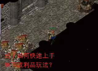 新手如何快速上手地下战利品玩法? 新手如何快速上手地下战利品玩法?