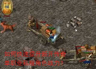 如何快速提升新开传奇单职业私服角色战力? 如何快速提升新开传奇单职业私服角色战力?