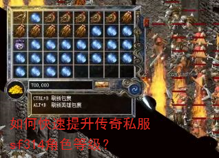 如何快速提升传奇私服sf314角色等级? 如何快速提升传奇私服sf314角色等级?