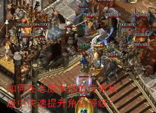 ������ϰ汾��Ѫ����˽���п���������ɫ�ȼ���