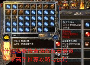 什么私服传奇游戏玩着最爽?求高手推荐攻略与技巧 什么私服传奇游戏玩着最爽?求高手推荐攻略与技巧