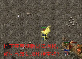 地下夺宝刷新规律揭秘,如何高效获取珍稀宝物? 地下夺宝刷新规律揭秘,如何高效获取珍稀宝物?