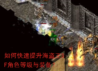 如何快速提升海盗王SF角色等级与装备? 如何快速提升海盗王SF角色等级与装备?