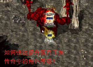 如何快速提升孤月玉兔传奇中的角色等级? 如何快速提升孤月玉兔传奇中的角色等级?
