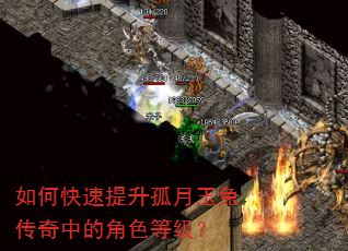如何快速提升孤月玉兔传奇中的角色等级? 如何快速提升孤月玉兔传奇中的角色等级?