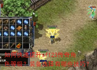 如何快速提升sf123传奇角色等级?装备选择有哪些技巧? 如何快速提升sf123传奇角色等级?装备选择有哪些技巧?
