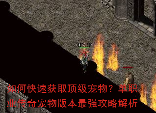 如何快速获取顶级宠物?单职业传奇宠物版本最强攻略解析 如何快速获取顶级宠物?单职业传奇宠物版本最强攻略解析