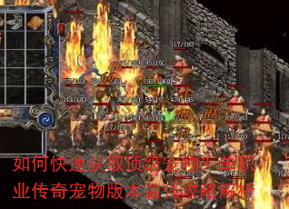 如何快速获取顶级宠物?单职业传奇宠物版本最强攻略解析 如何快速获取顶级宠物?单职业传奇宠物版本最强攻略解析