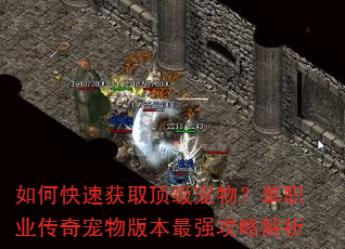如何快速获取顶级宠物?单职业传奇宠物版本最强攻略解析 如何快速获取顶级宠物?单职业传奇宠物版本最强攻略解析