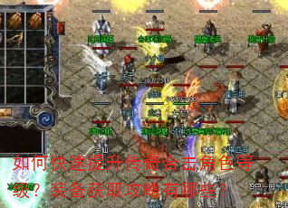 如何快速提升传奇合击角色等级?装备获取攻略有哪些? 如何快速提升传奇合击角色等级?装备获取攻略有哪些?