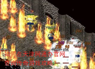 如何在天津网通办官网查询传奇游戏攻略? 如何在天津网通办官网查询传奇游戏攻略?