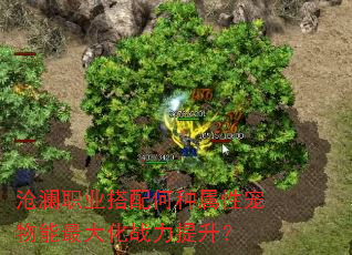 沧澜职业搭配何种属性宠物能最大化战力提升? 沧澜职业搭配何种属性宠物能最大化战力提升?
