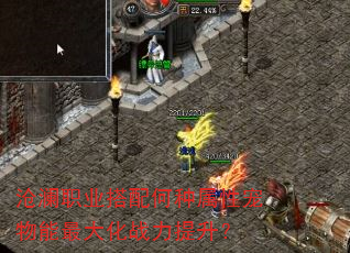 沧澜职业搭配何种属性宠物能最大化战力提升? 沧澜职业搭配何种属性宠物能最大化战力提升?