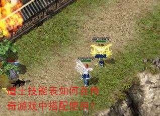 道士技能表如何在传奇游戏中搭配使用? 道士技能表如何在传奇游戏中搭配使用?