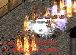 华山论剑如何快速提升战力?新手求大神指点迷津 华山论剑如何快速提升战力?新手求大神指点迷津