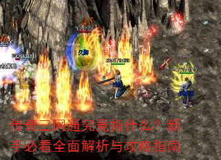 传奇三网通究竟指什么?新手必看全面解析与攻略指南 传奇三网通究竟指什么?新手必看全面解析与攻略指南