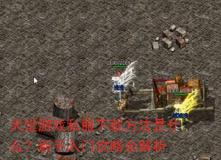 天堂游戏私服下载方法是什么?新手入门攻略全解析 天堂游戏私服下载方法是什么?新手入门攻略全解析