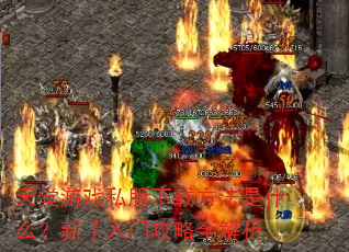 天堂游戏私服下载方法是什么?新手入门攻略全解析 天堂游戏私服下载方法是什么?新手入门攻略全解析