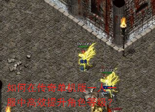 如何在传奇单机版一人一服中高效提升角色等级? 如何在传奇单机版一人一服中高效提升角色等级?