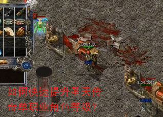 如何快速提升圣天传奇单职业角色等级? 如何快速提升圣天传奇单职业角色等级?