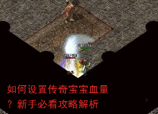 如何设置传奇宝宝血量?新手必看攻略解析 如何设置传奇宝宝血量?新手必看攻略解析
